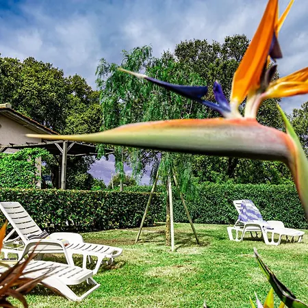 Le Querce App. Melograno Apartmán Capoliveri (Isola d'Elba)
