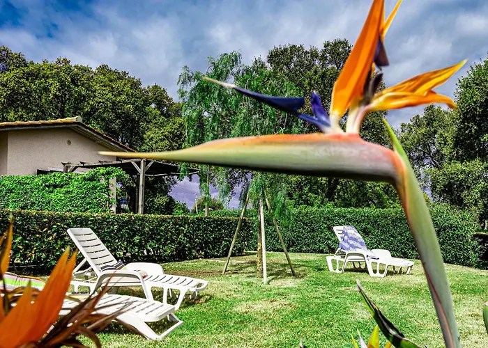 Le Querce App. Melograno Apartamento Capoliveri (Isola d'Elba)